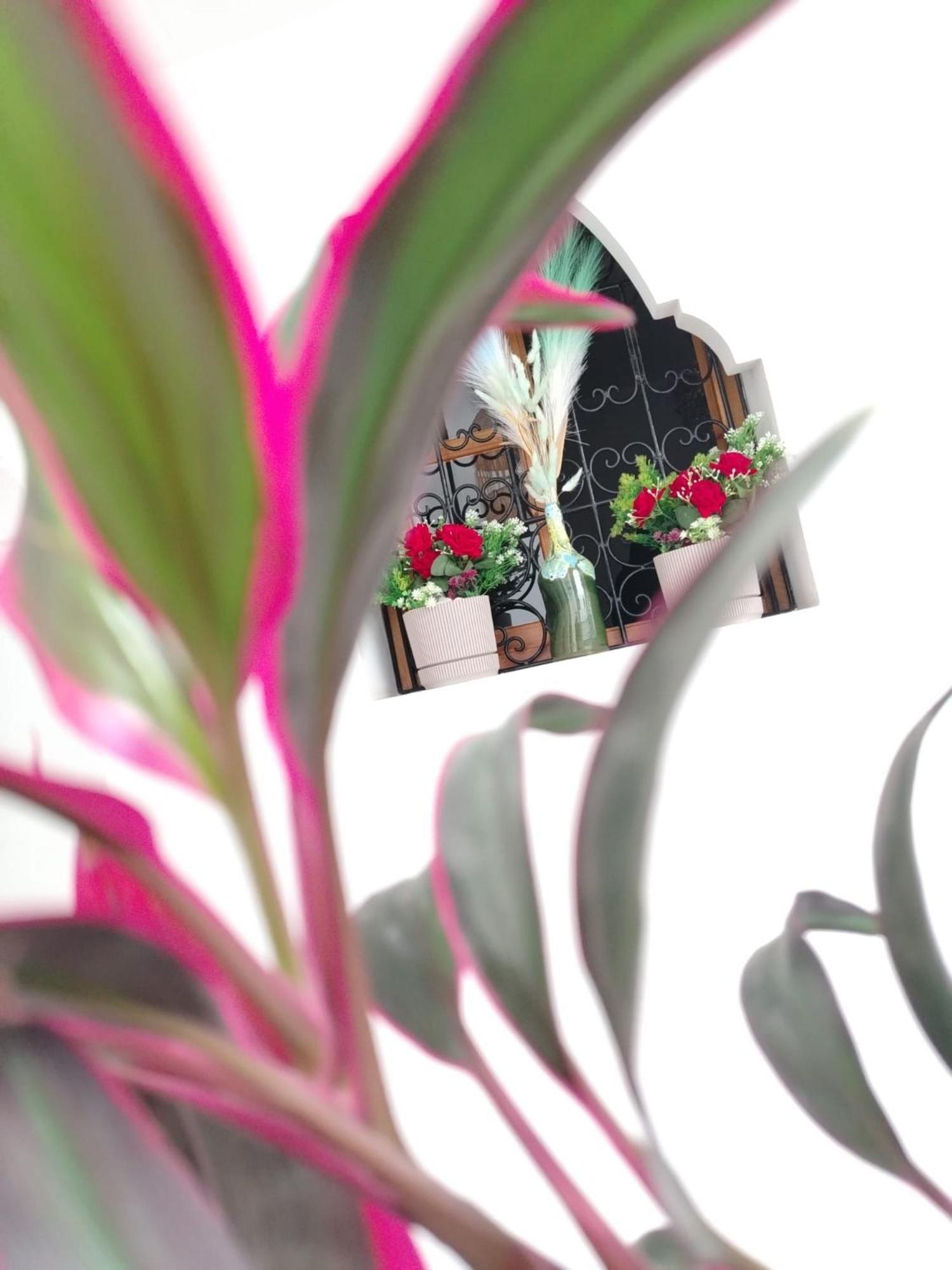Riad & Spa Sous Le Soleil Chez Jerome & Pamela Suite Essaouira Marrakesh Exterior foto